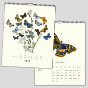 Kalender Fjäril 2023